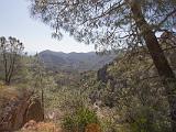Pinnacles NM 006